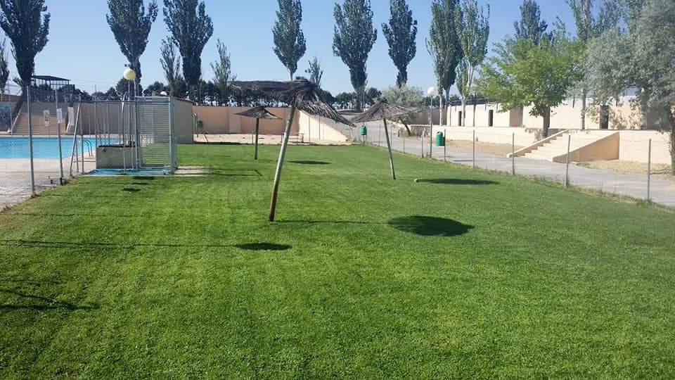 recolocacion del cesped del polideportivo municipal